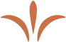 Copper insignia graphic